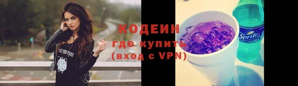 мдпв Кодинск