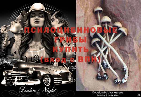 мдпв Кодинск