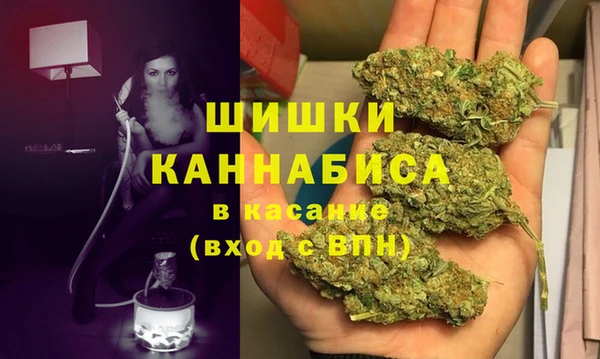2c-b Козельск