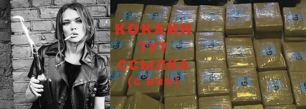 мдпв Кодинск
